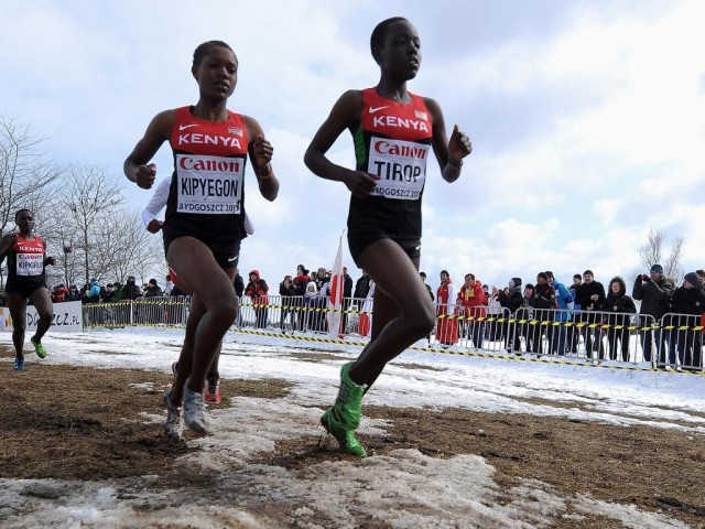 Faith Chepngetich Kipyegon (KEN) during the junior women's race at the 2013 IAAF World Cross Country Championships, Bydgoszcz, Poland (© Getty Images)