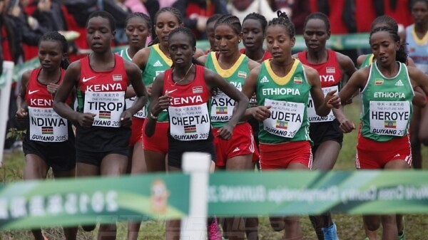 Senior women race at the IAAF World Cross Country Championships, Guiyang 2015 / Photo credit: © Getty Images for IAAF