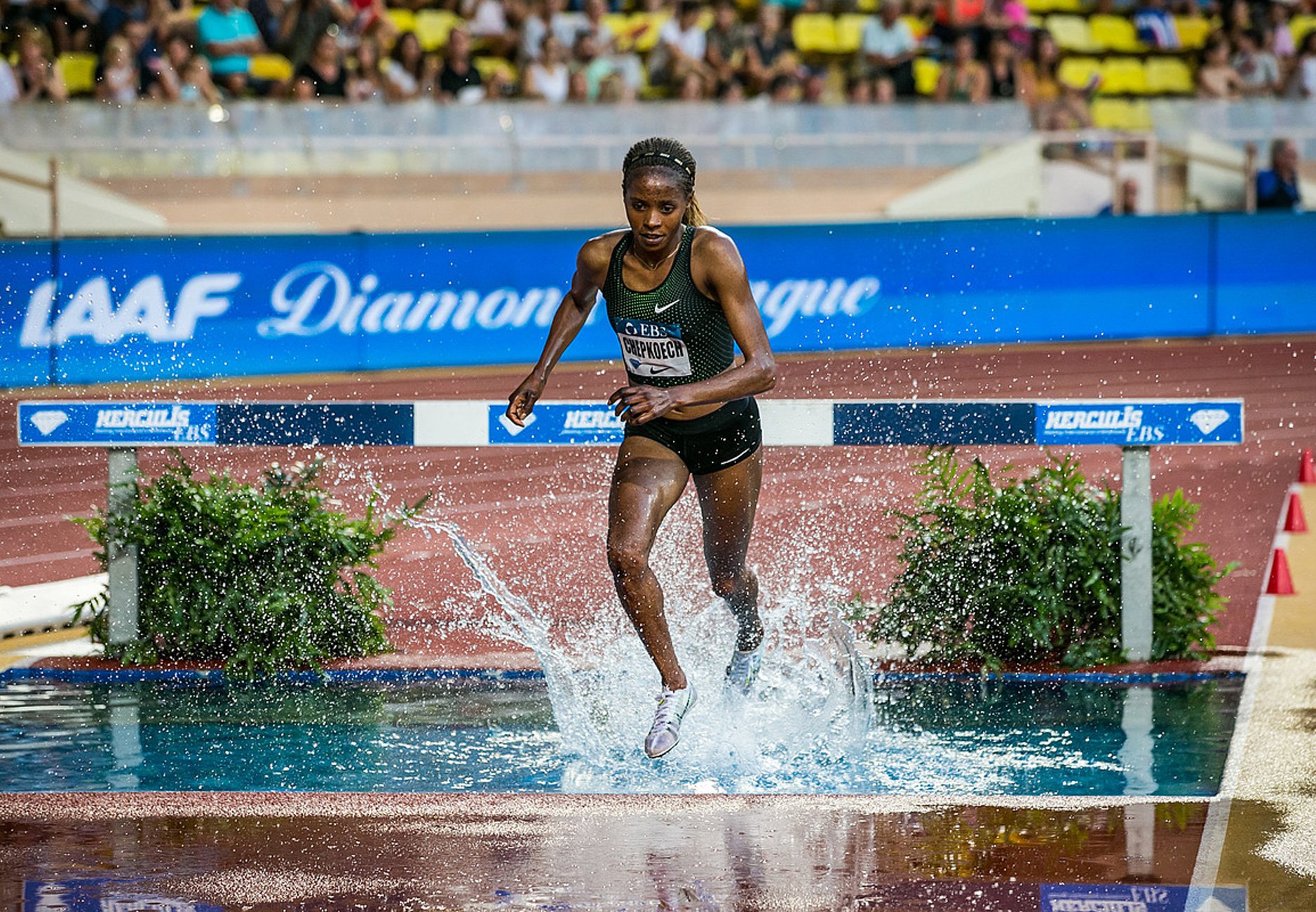 Beatrice Chepkoech (Kenya) on her way to winning the steeplechase at the IAAF Diamond League meeting in Monaco (Philippe Fitte)