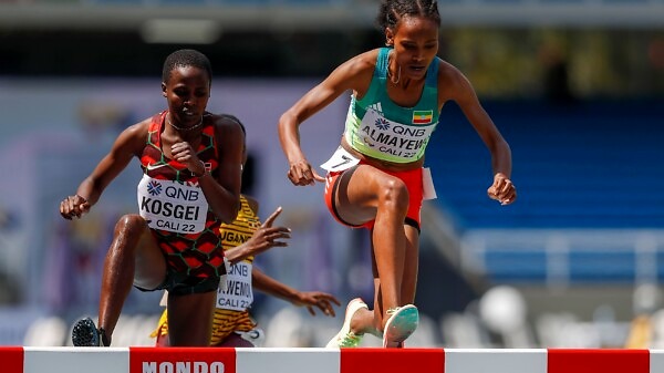 Sembo Almayew, Ethiopia - the World U20 3000m steeplechase champion from Cali 22.