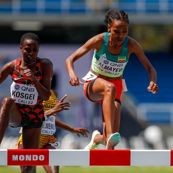 Sembo Almayew, Ethiopia - the World U20 3000m steeplechase champion from Cali 22.