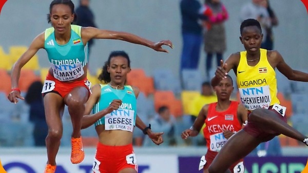 Sembo Almayew on her way to the world U20 steeplechase title in Lima (© Oscar Munoz Badilla)