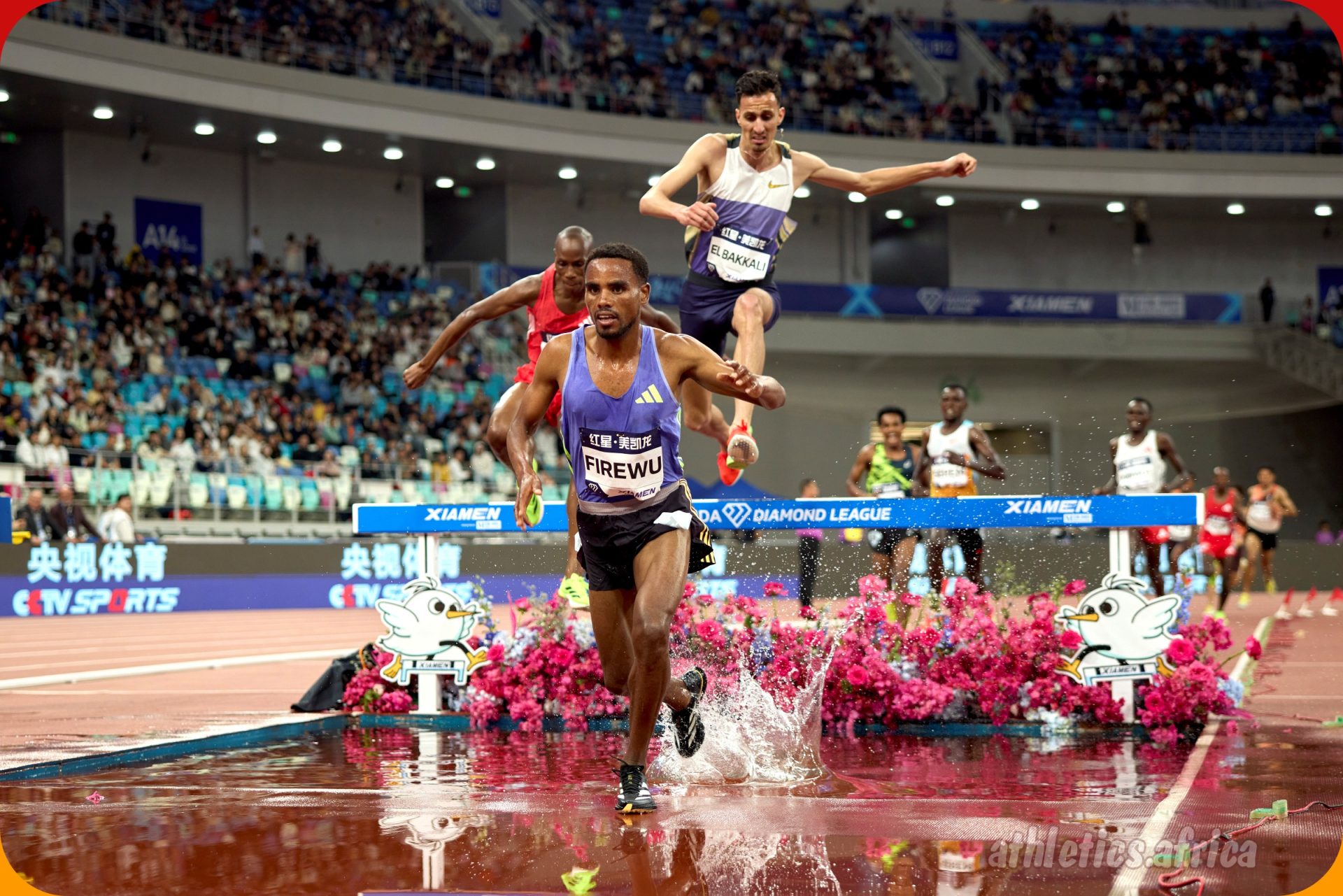 Samuel Firewu sets a meeting record in men’s 3000m SC, taking the win in 8:05.61 at Xiamen DL 2025 / Photo credit: Marta Gorczyska for Diamond League AG